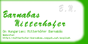 barnabas mitterhofer business card