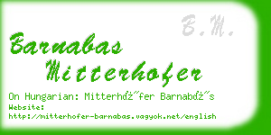 barnabas mitterhofer business card